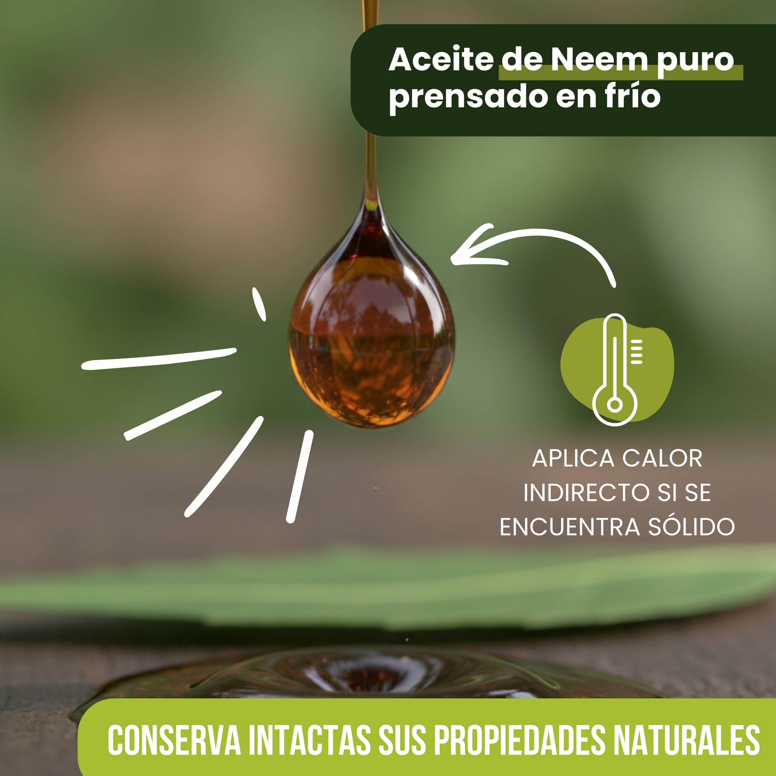 Bioky Aceite de Neem 2 Litros (Pack 1L + 1L) | Neem Puro y Natural - Extraído 1ª Presión en Frío | Aceite Multiusos