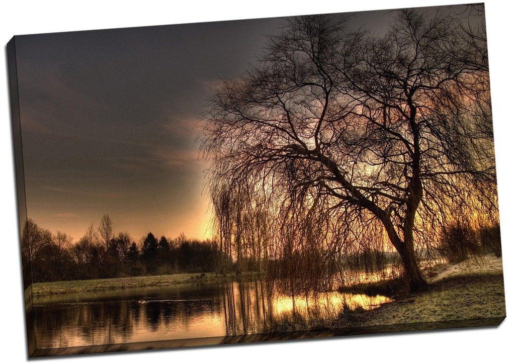 Panther Print Landscape Tree By The Lake Canvas Print Picture Wall Art Large 30X20 Inches