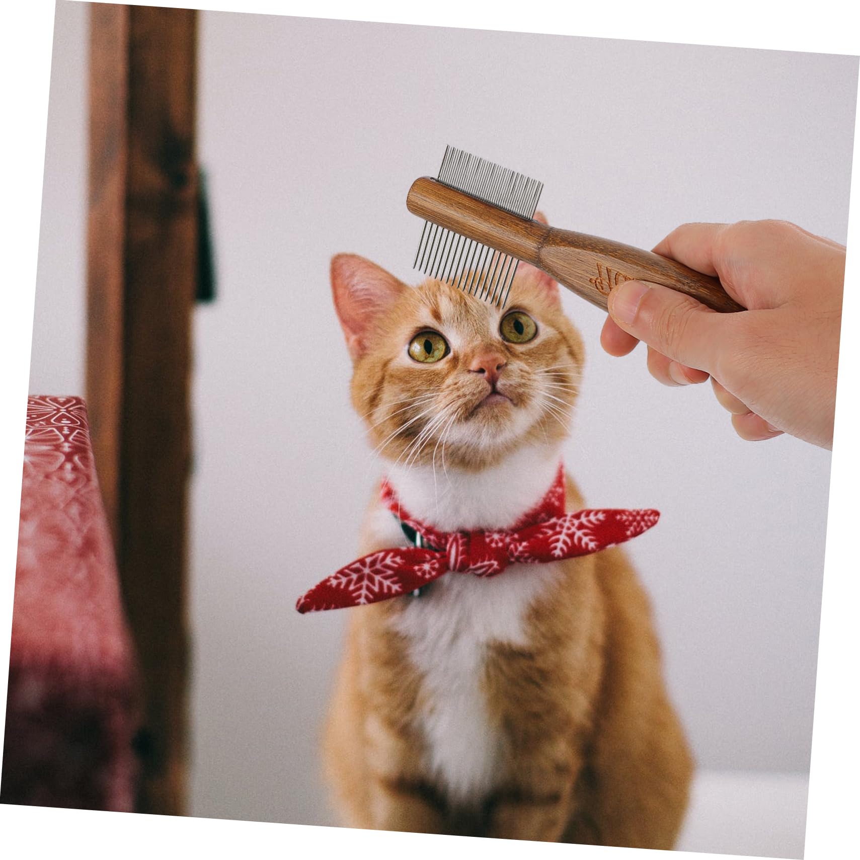 YARNOW 3 Piezas peine de belleza peine de concha de herramienta de limpieza gato cepillos de limpieza cepillos a herramienta de aseo para mascotas de doble limpio