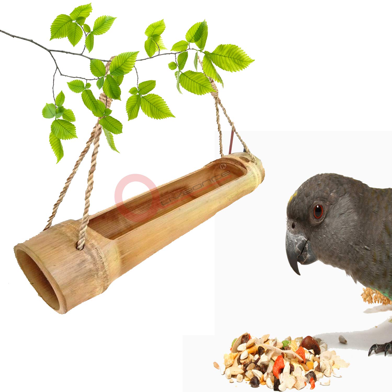 LIVEONCE Bamboo cage Open Bird Feeder Color -Natural (B08NVNMF66) Amazon Price History, Amazon Price Tracker
