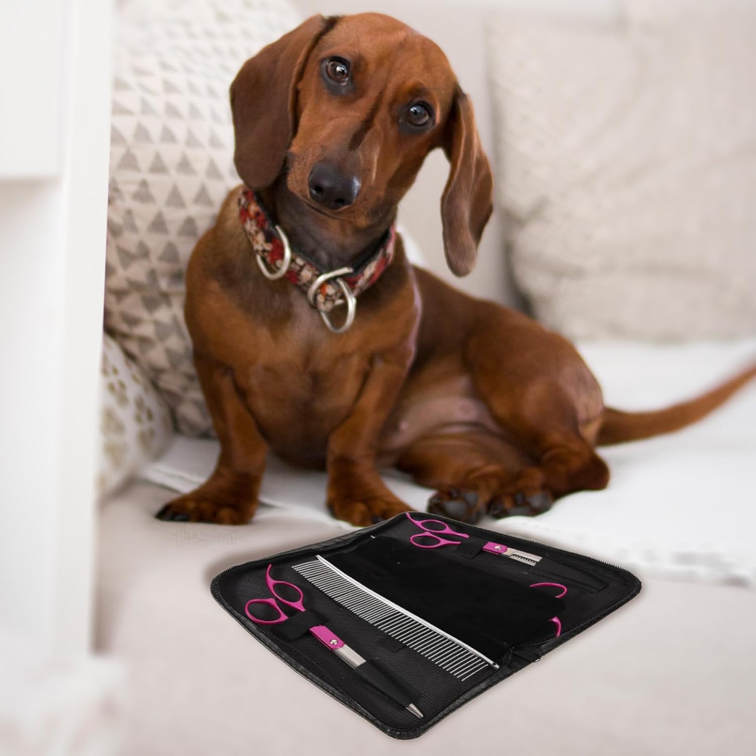 1set Stainless Steel Pet Grooming Scissors Set with Comb Design for Dog and Cat Grooming Includes Straight Thinning and Curved Scissors for Sensitive Areas