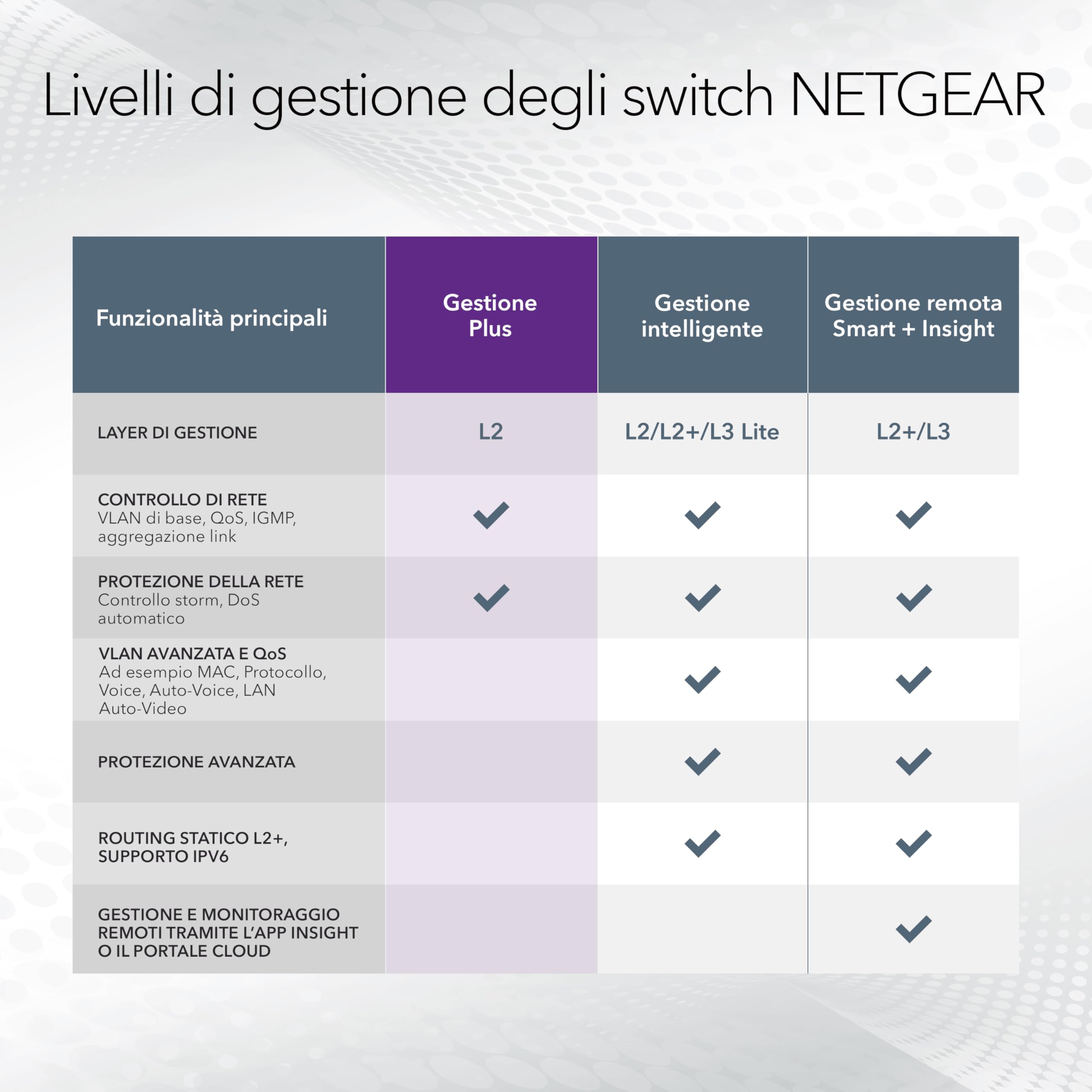 NETGEAR Switch Plus Multi-Gigabit Ethernet a 8 porte (MS308E), porte multi-gigabit da 1 G/2,5 G, montaggio su scrivania o a parete