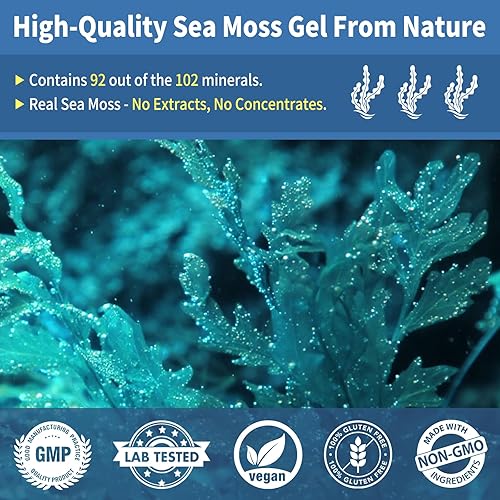 Miniatura 3 de Gel de musgo marino de 10 onzas, gel de musgo marino irlandés silvestre, superalimento vegano, vitaminas minerales, sabor a espirulina azul