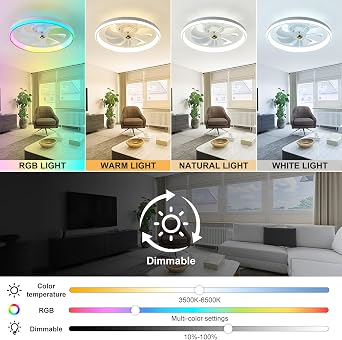 RGB Ceiling Fan LED Ceiling Fans with Lights and Remote,Dimmable Bladeless Ceiling Fans with Lamps Timing 3 Speeds Modern Fan Lights Ceiling for Bedroom Living Room (RGB) [Energy Class E]