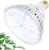 MILYN LED Grow Light Bulb 100W Daylight Full Spectrum Plant Growth Lamp 150 LEDs Plant Lights, E27 Grow Lights for Indoor Plants, Hydroponic Growing Greenhouse Succulents Veg and Flower
