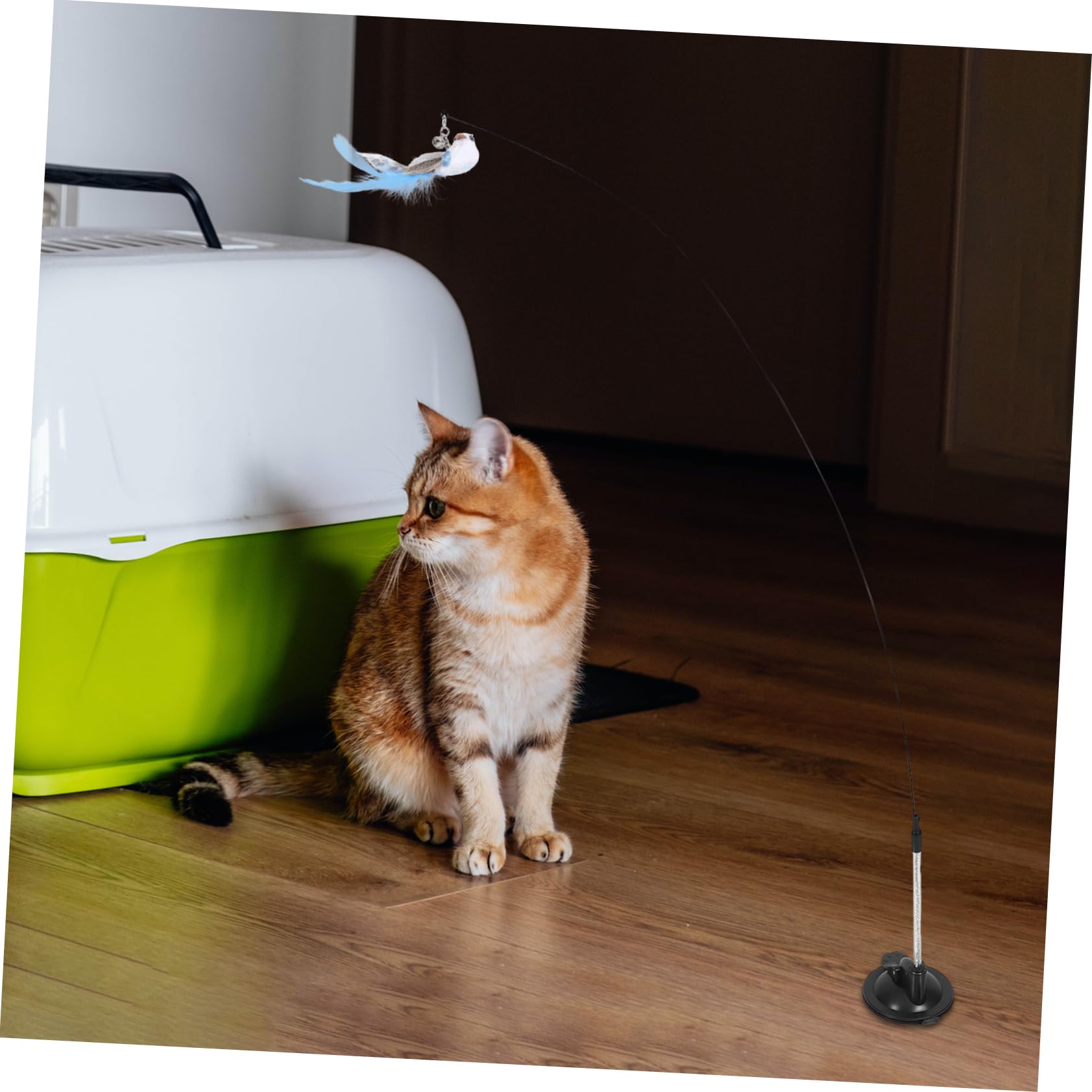 POPETPOP 5 Ensembles Suceur Chat Teaser Interactive Cat Toy Jouets pour Animaux de Compagnie Jouet pour Chat Jouets pour Chats bâtons de taquinerie pour Chaton de Chat Mignon la Plume