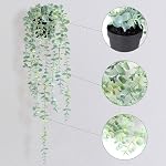 Fake Hanging Plant Eucalyptus Artificial Faux Plants Indoor Small Wall Greenery Decor for Floating Shelf Soft Green 2PCS 23Inch Long
