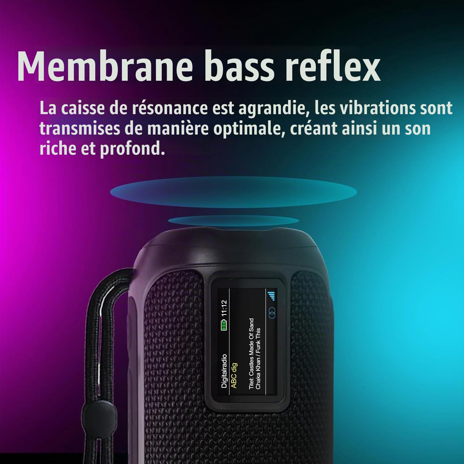 LEICKE Radio Dab+ Portable et Enceinte Bluetooth - Radio Numérique FM, Batterie 4500mAh, Son Stéréo 10W, Lumières LED RVB, USB-C, Réveil, Lecteur Micro SD/AUX, Noir
