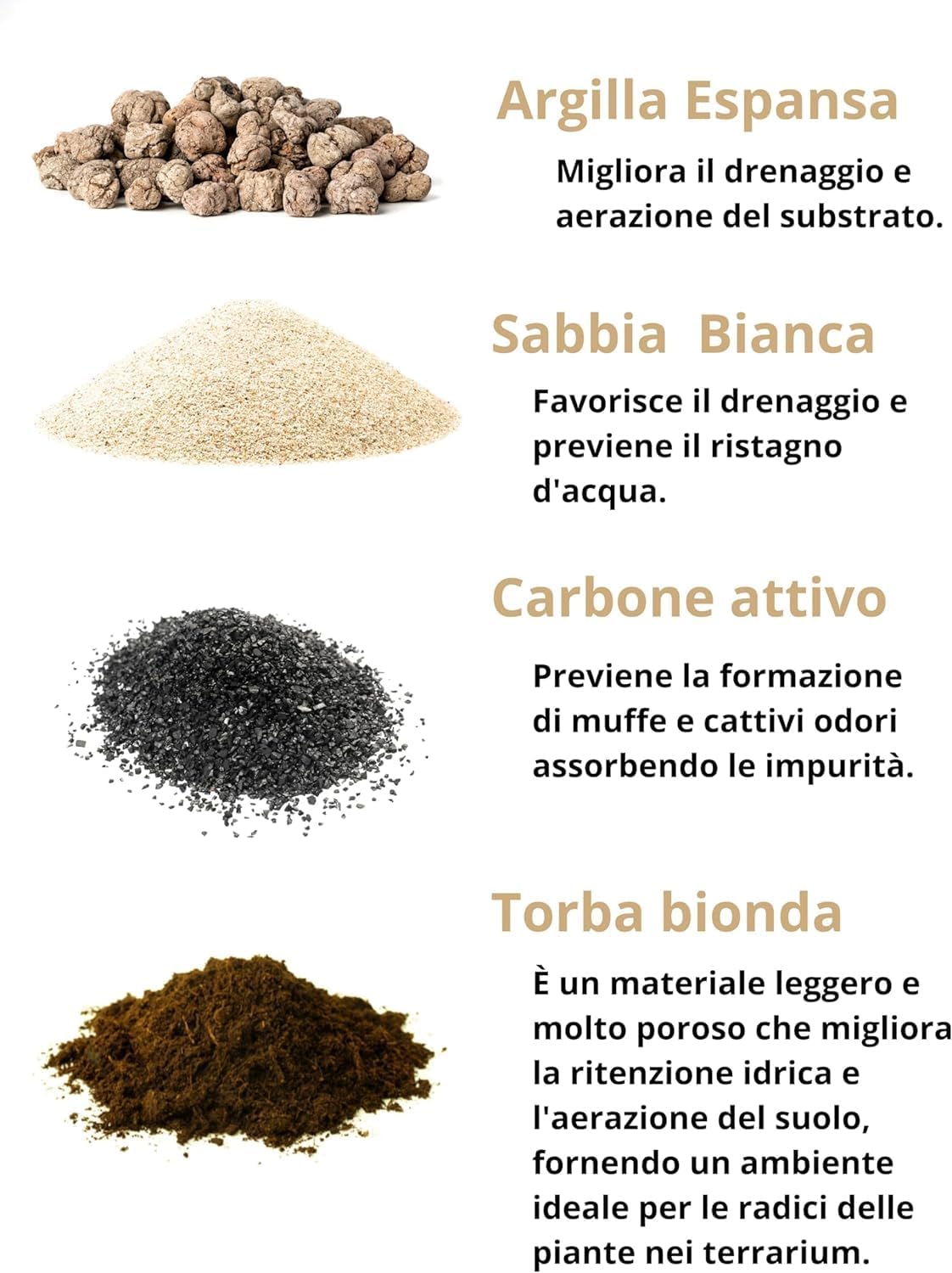 I GIARDINI DI GIULIA - Kit Terrarium Geometrico Fai da Te - Contenitore in Vetro e Ferro con Piantine terriccio e materiali decorativi INCLUSI - I Giardini di Giulia