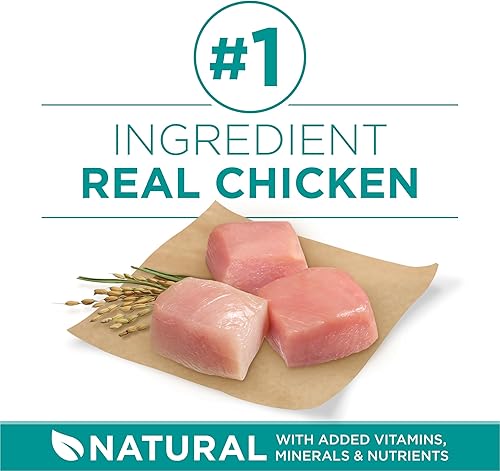 Miniatura 3 de Purina ONE SmartBlend Natural Digestive Health Sensitive Stomach Adult Dry Dog Food