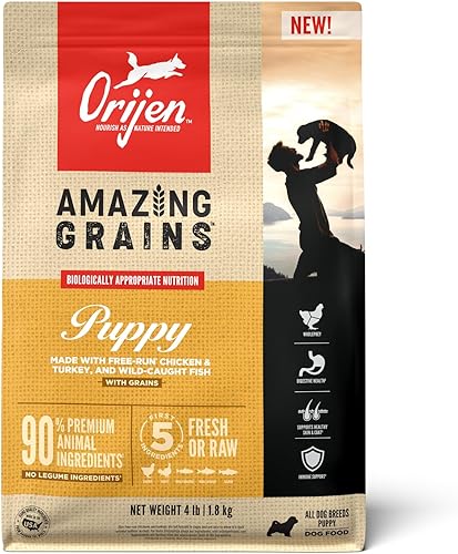 Miniatura 9 de ORIJEN Amazing Grains Regional Red - Comida seca para perros, con alto contenido de proteínas, 4libras