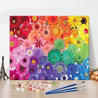 Painting by Numbers for Adults, DIY Paint by Numbers Rainbow Flower, Succulent Plants Paint by Numbers Kits with Brushes and Acrylic Pigment, 16x20 Inch Without Frame Paint by Numbers for Home Decor
