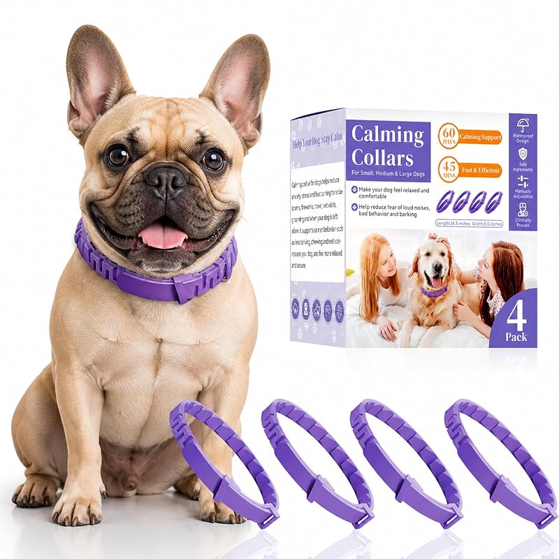 Coleira calmante para cães com feromônios, ajustável, roxa, pacote com 4