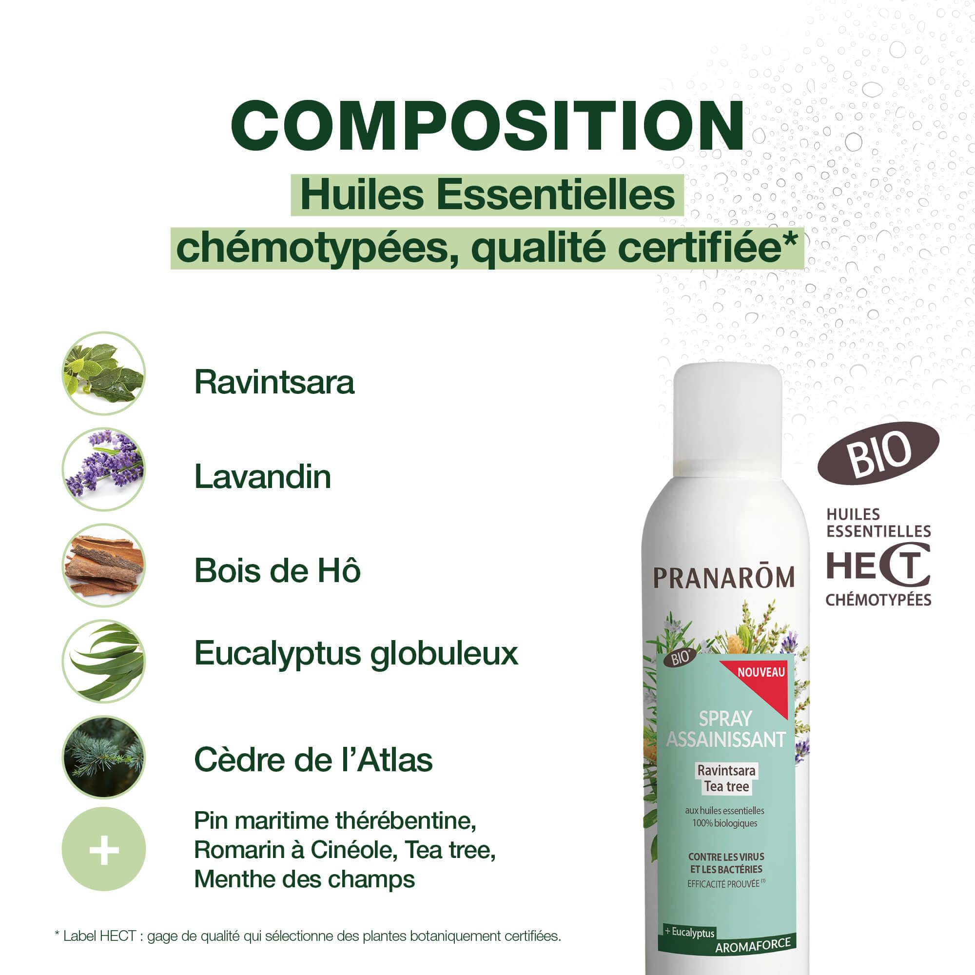 PRANARÔM - Aromaforce - Spray Assainissant Aux Huiles Essentielles Bio - Ravintsara Et Tea Tree - Assainit Et Purifie L'Air - 150 ml