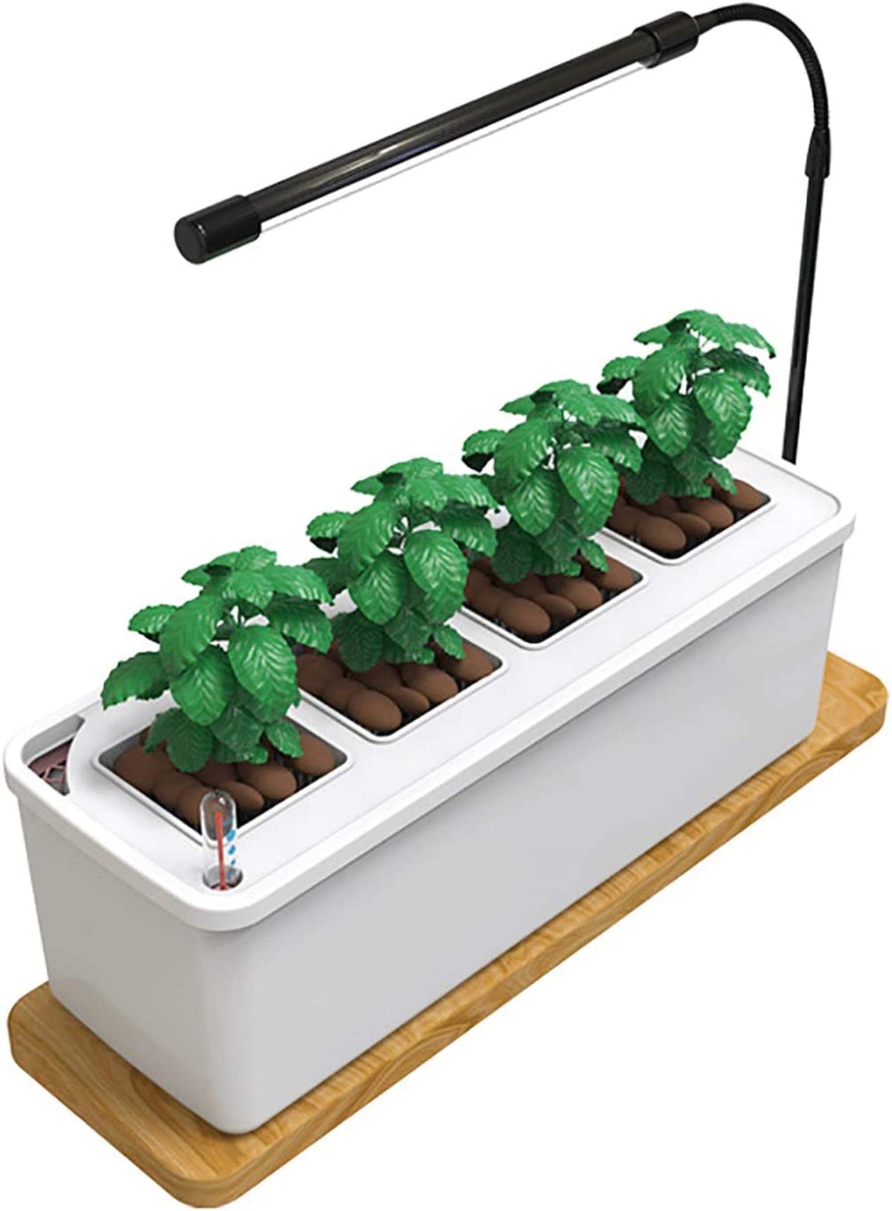 Kit De Germination du Jardin Hydroponique, Kit De Jardin d'herbe Intérieure avec LED, Plante De Semis De Culture sans Scolarisation, Idéal pour Diverses Plantes, Décoration Bricolage