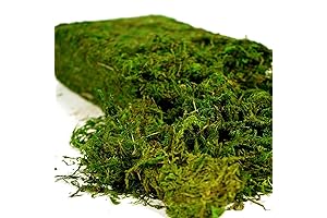 16OZ Artificial Moss Sheets for Crafts - Nature Inspired Home Decoration
