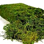 Artificial Moss, 16OZ Fake Moss for Crafts, Decorative Centerpieces, Fairy Garden, Wedding Party Decor, Faux Potted Plants, 455gr (Fresh Green)