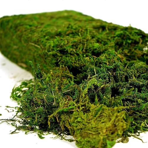 Artificial Moss 16oz – Fake Moss for Crafts, Fairy Gardens, Wedding & Party Decor, Centerpieces & Potted Plants (Fresh Green, 455g)