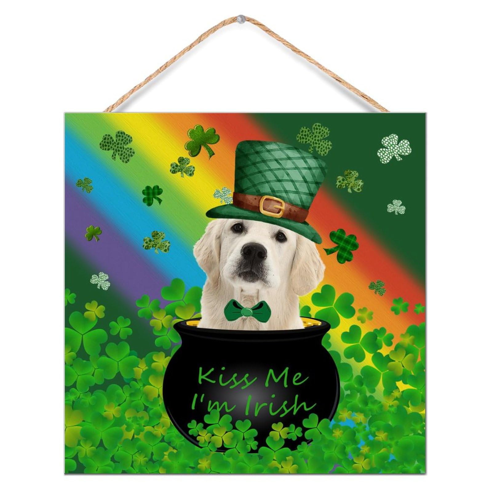 Décoration garde-manger léprechaun panneau bois Kiss Me I'm Irish