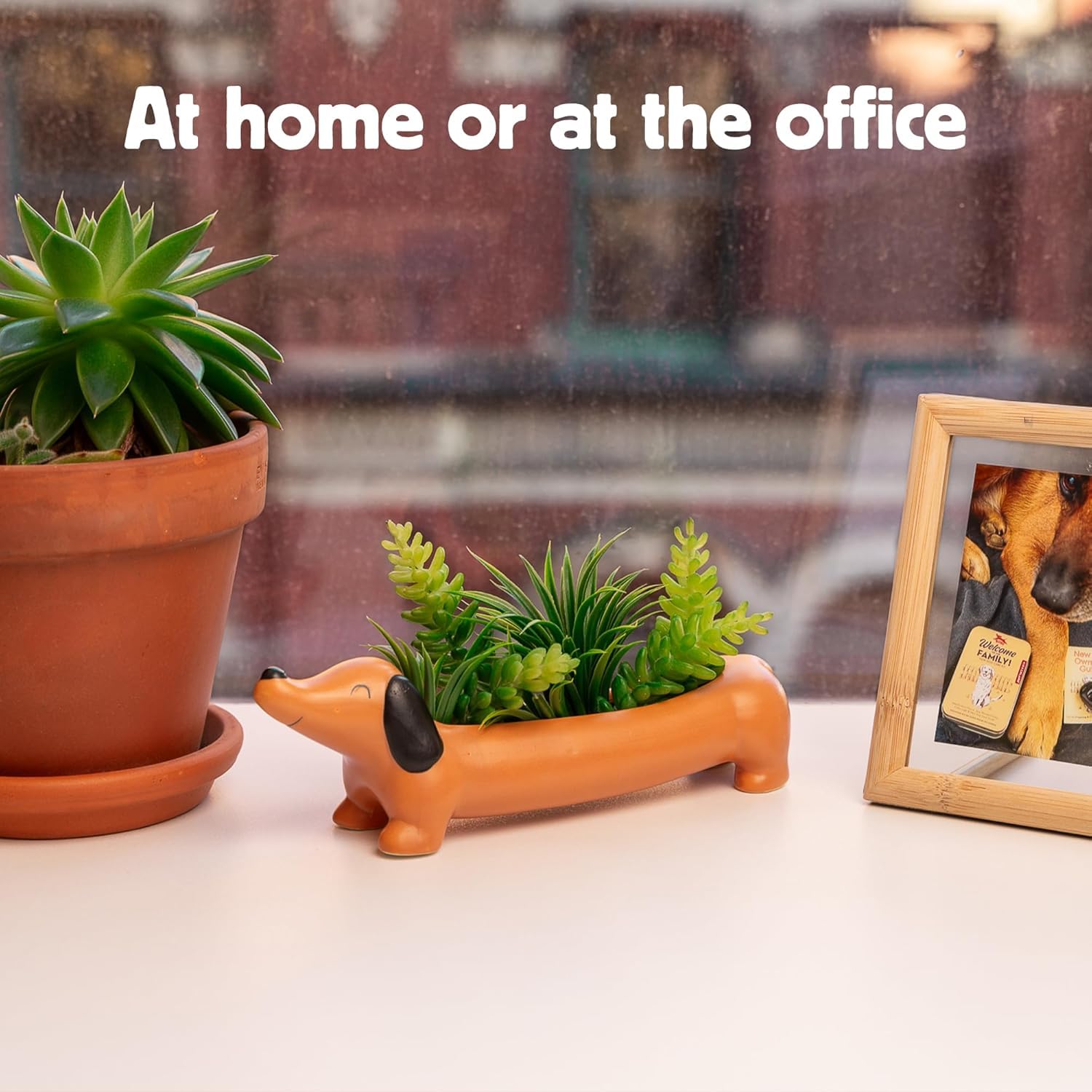 Amazon.com : Kikkerland Daisy The Dachshund Porcelain Dog Planter