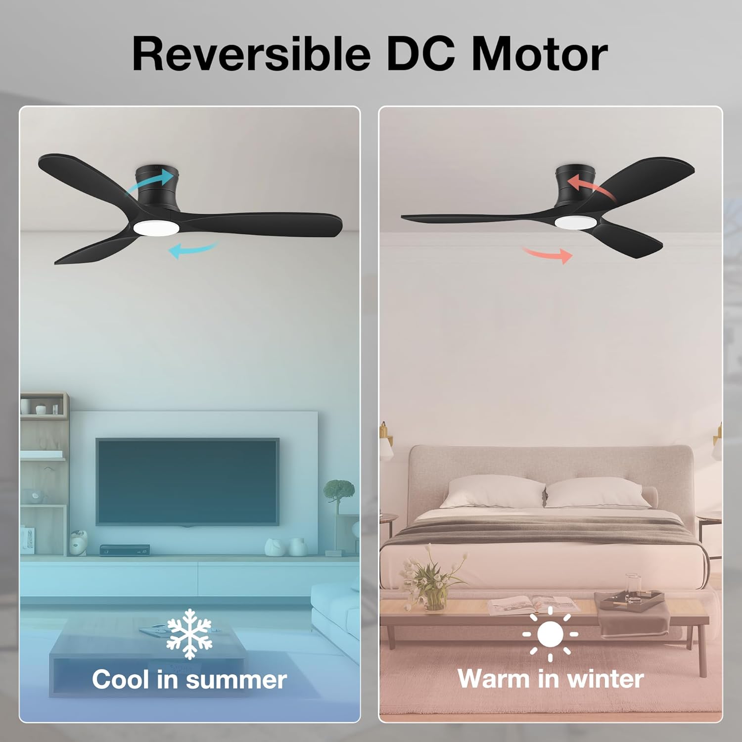 71mQy4oKPQL. AC SL1500