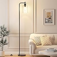 Ziisee Industrial Black Floor Lamp with Clear Glass Shade, 6W LED Bulb, Foot Pedal Switch - 64.6" Tall Easy Assembly for Living Room Bedroom