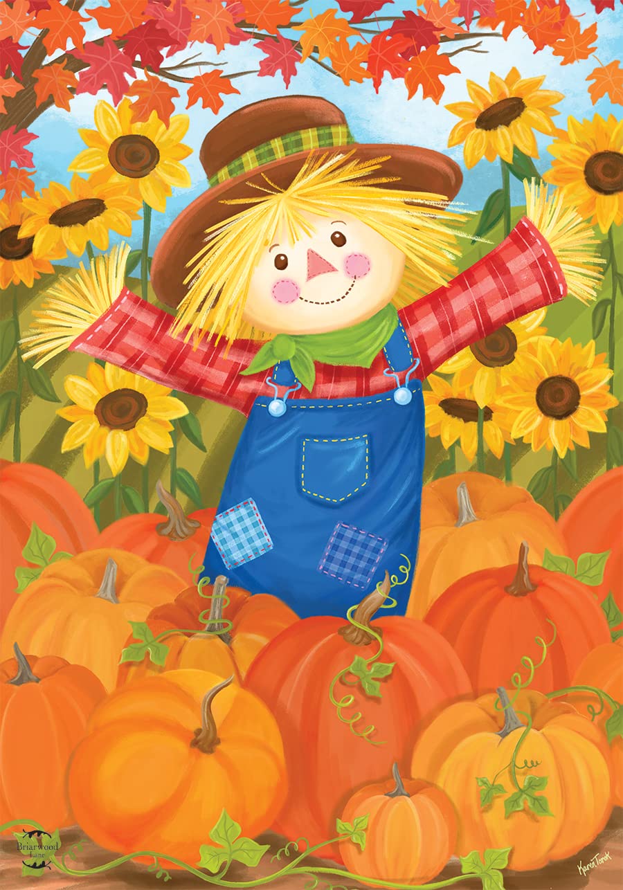 A Cute Happy Scarecrow With A Sign And Fall Decorations In Front Of A Blooming Sunflower Field In Autumn Stock Photo - Foto 8