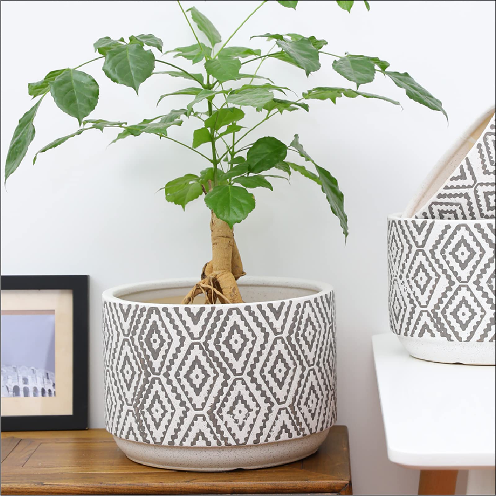 Vasi da Giardino Fioriera in Ceramica con Motivo Geometrico, Vaso da Fiori per fioriera Rotondo da 7/9/11 Pollici con Foro di drenaggio per Interni ed Esterni