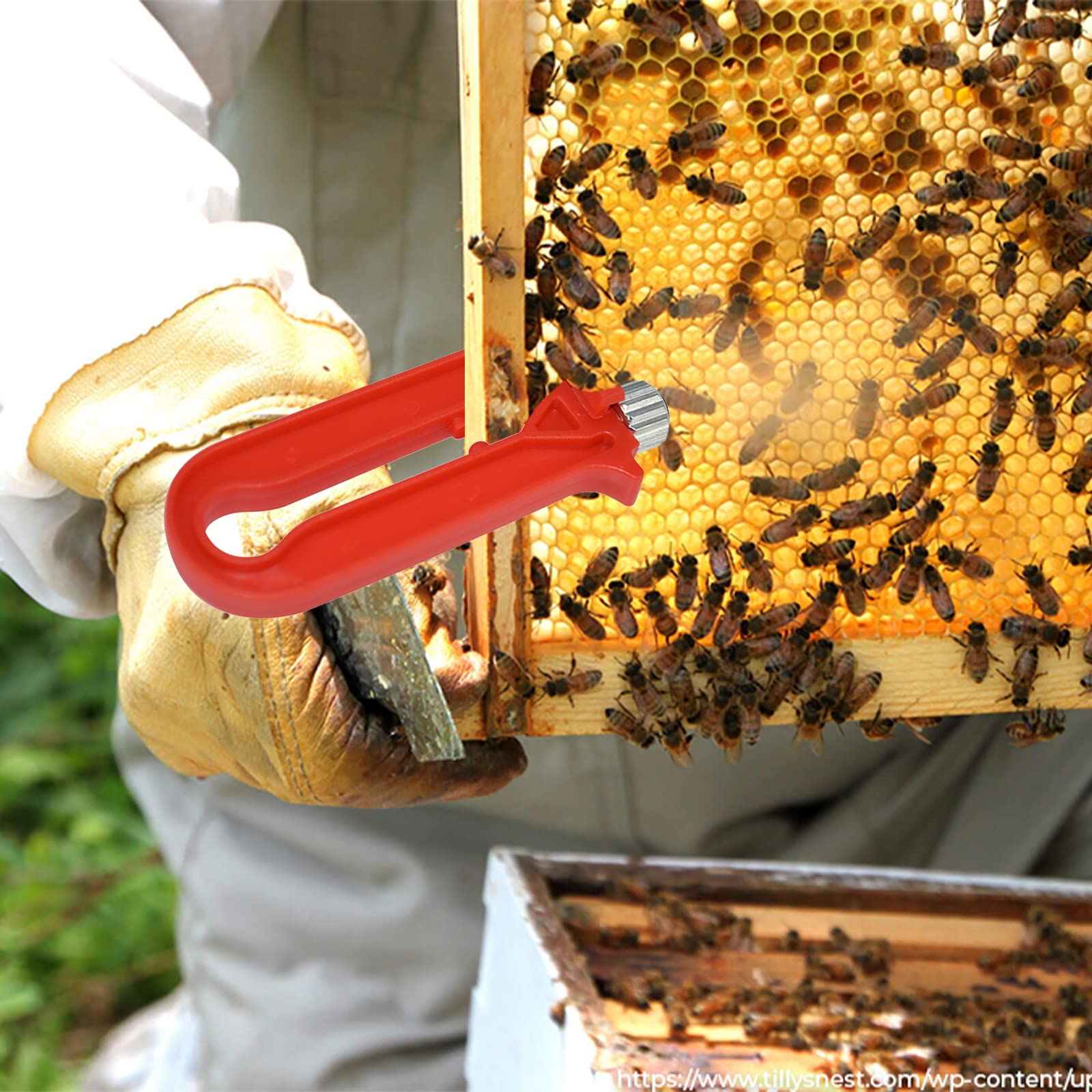 Profi Imkerei Drahtspanner Aus Edelstahl – Crimpzange Für Bienenrahmen, Robust & Langlebig