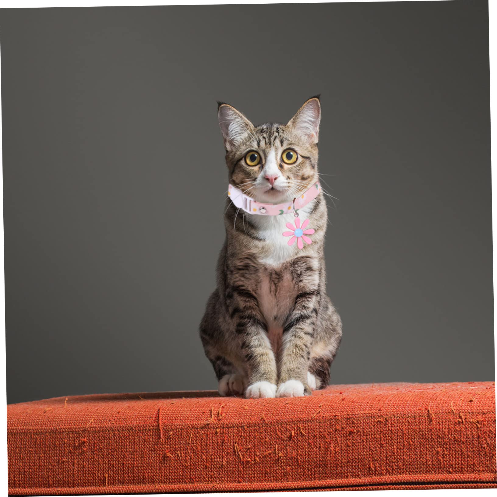 Yardwe 12stücke Teiliges Verstellbares Katzenhalsband Mit Gänseblümchen- Süßes Design Für Katzen Und Kätzchen Für Tägliche Nutzung Partys Und Besondere Anlässe