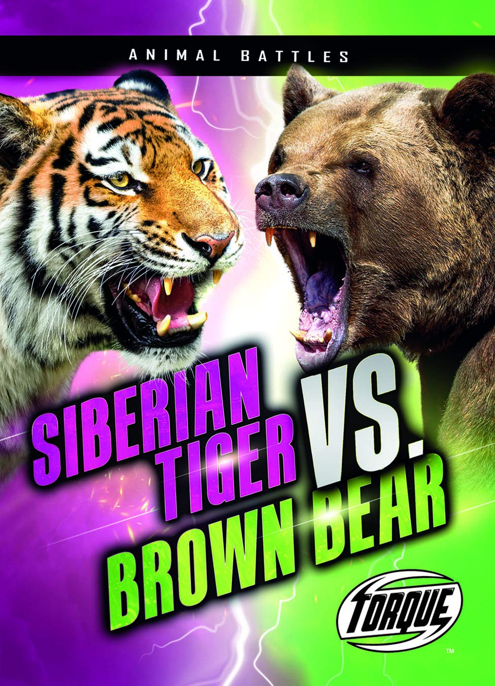 Siberian Tiger vs. Brown Bear