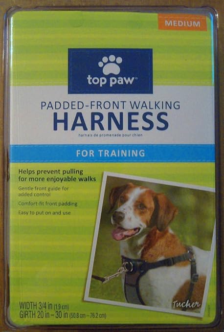 front walking harness