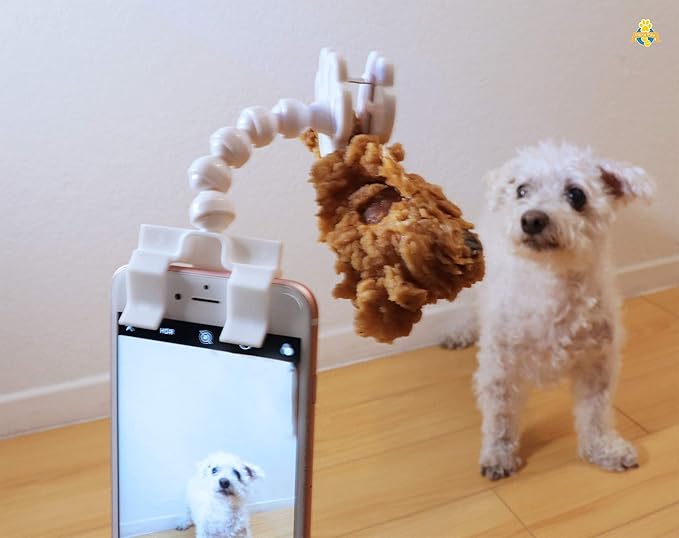 dog selfie ball amazon