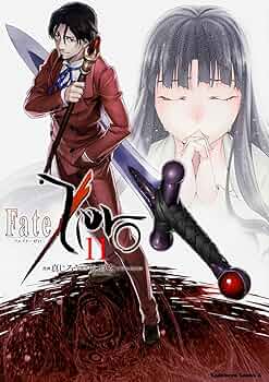 Amazon.co.jp: Fate/Zero (11) (カドカワコミックス・エース) : 真