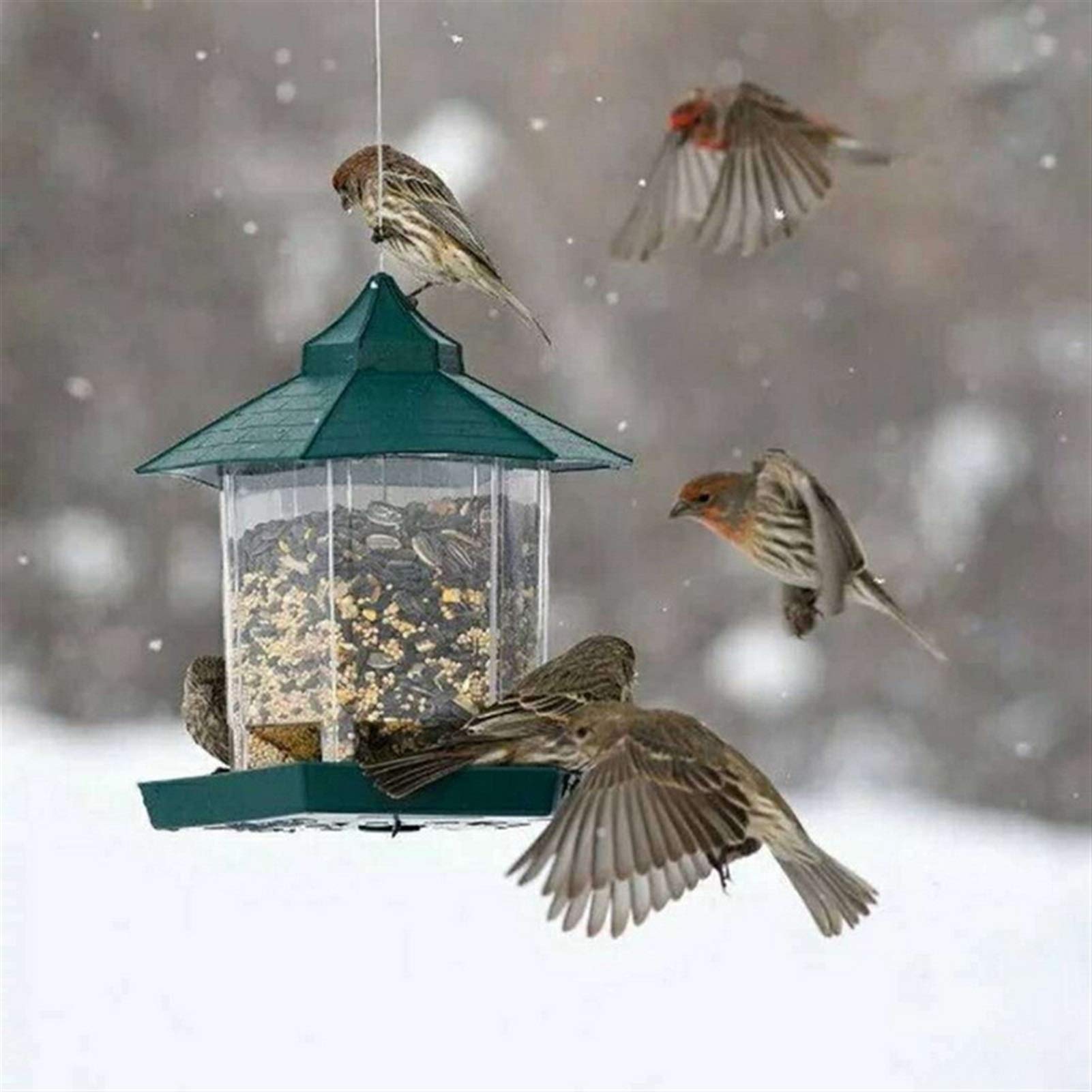 Karmnik dla ptaków Drewniane Nowy Hot Wild Bird Feerer Outdoor Bird Coverers Pojemnik na żywność Wiszące Gazebo Ptak Podajnik do dekoracji ogrodowej Karmniki dla dzikich ptaków