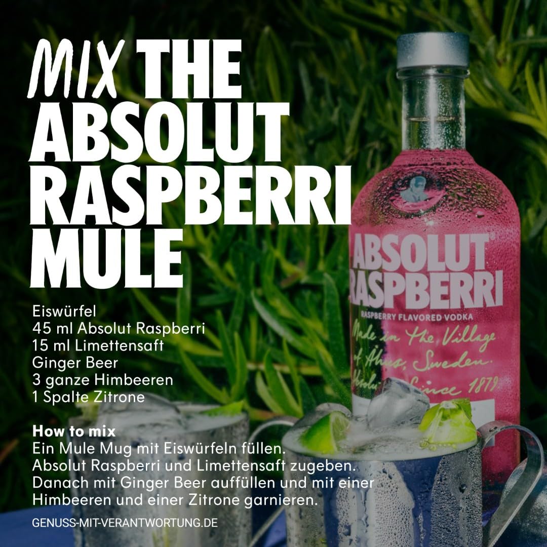 Absolut Vodka Raspberry Mixer