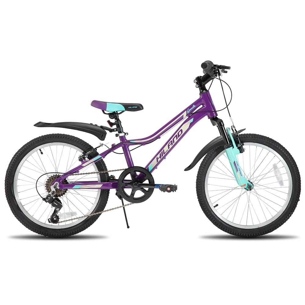 子供用 自転車 BMW マウンテンバイク 20インチ 6段変速 キッズ ジュニア Amazon | 【完全組立済配送】子供用自転車 20インチ ジュニア