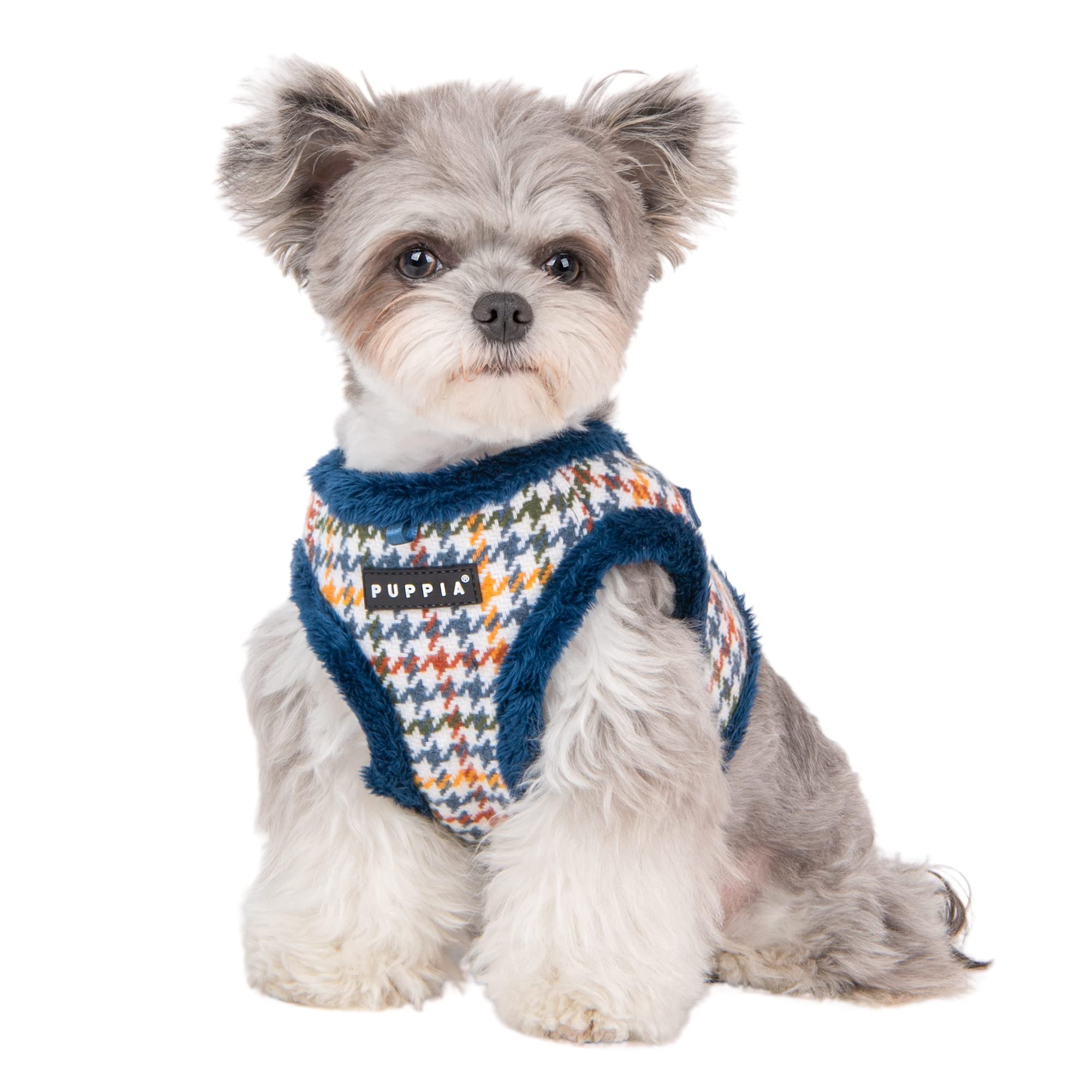 Kent Harness B - Blue - S, Small - Image 4
