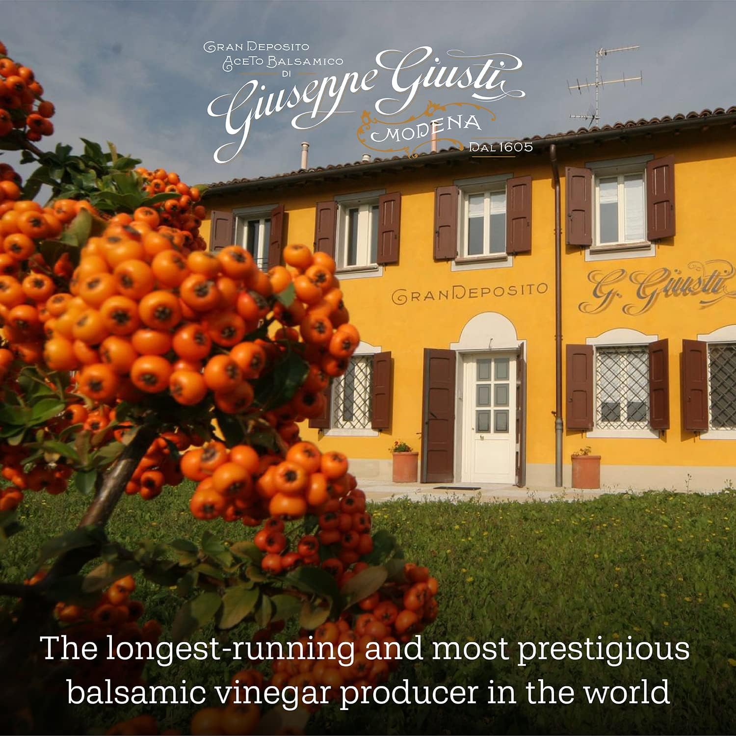 Giusti Truffle Balsamic Vinegar-Based Condiment from Modena Italy – Made With Premium Italian Aceto Balsamico with Natural Truffle Infusion for Marinades & Drizzling – 3.38 fl oz (100 ml) - Pack of 1