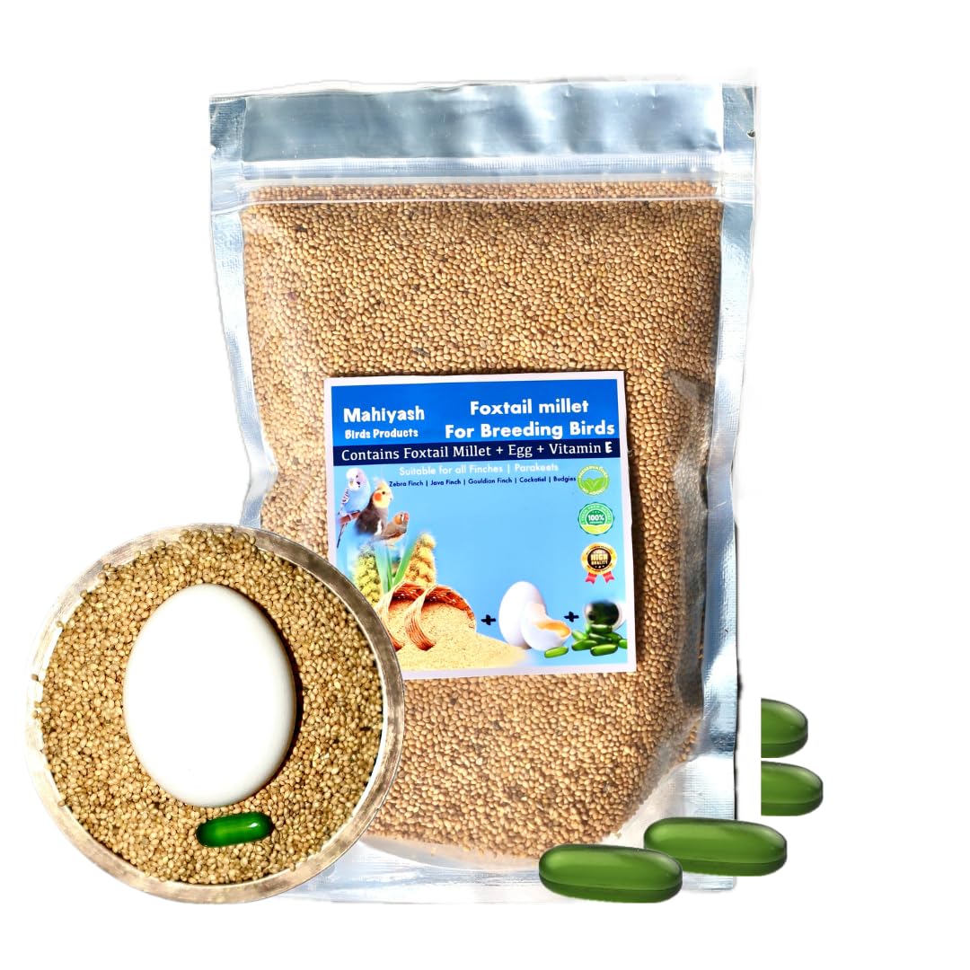 Breeding Formula (Kangni) Foxtail Millet, Egg, Vitamin E Added Bird Food for All Life Stages Budgies,Cockatiels, Love Birds, Finches,Parrots & Parakeets, 450 g (B0CR9BGZ84) Amazon Price History, Amazon Price Tracker