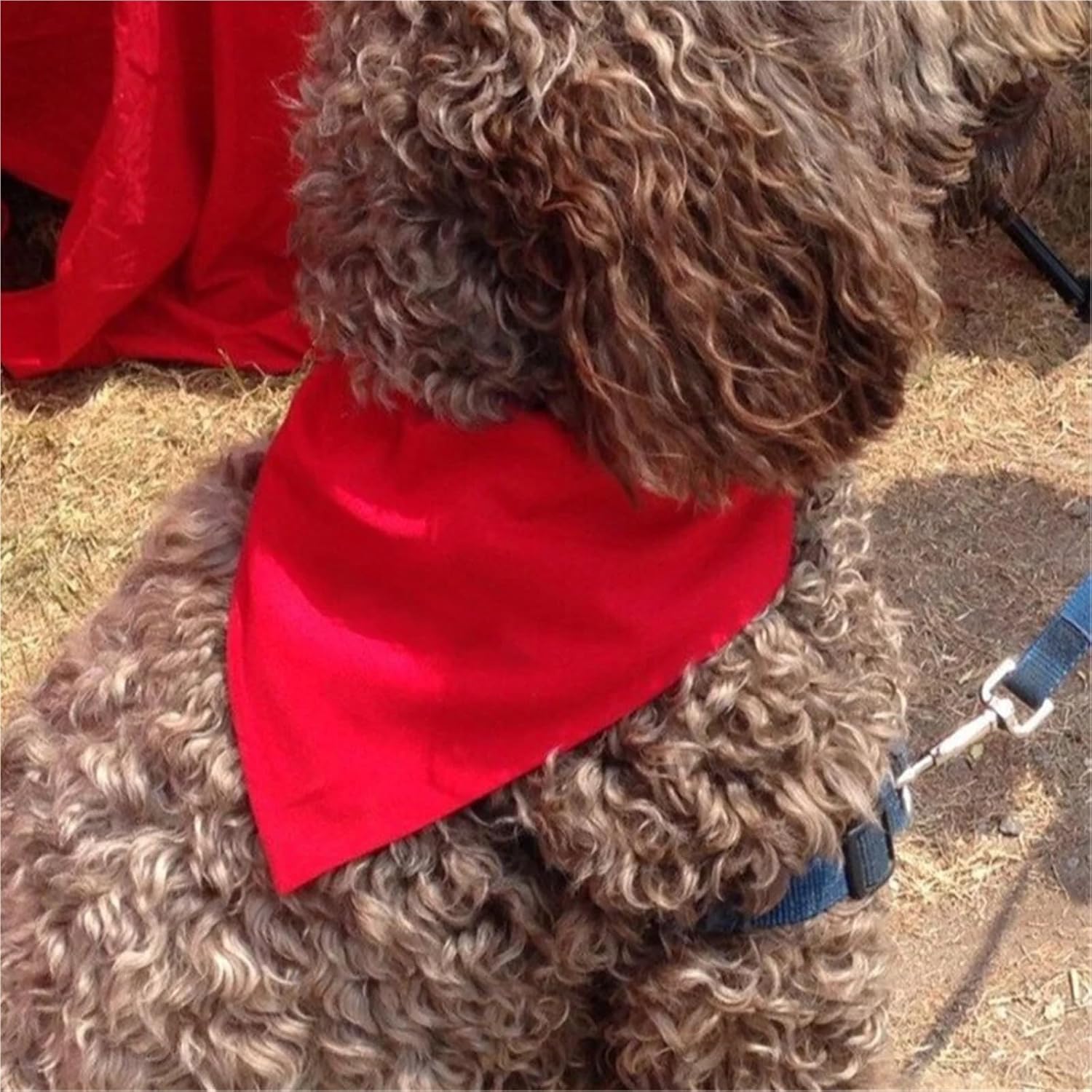 Dog Bandanas 5PCS Dog Triangle Bandanas Adjustable Puppy Soft Cotton Bibs Scarf Cat Neckerchief Yorkie Saliva Towel(5,Sliver)
