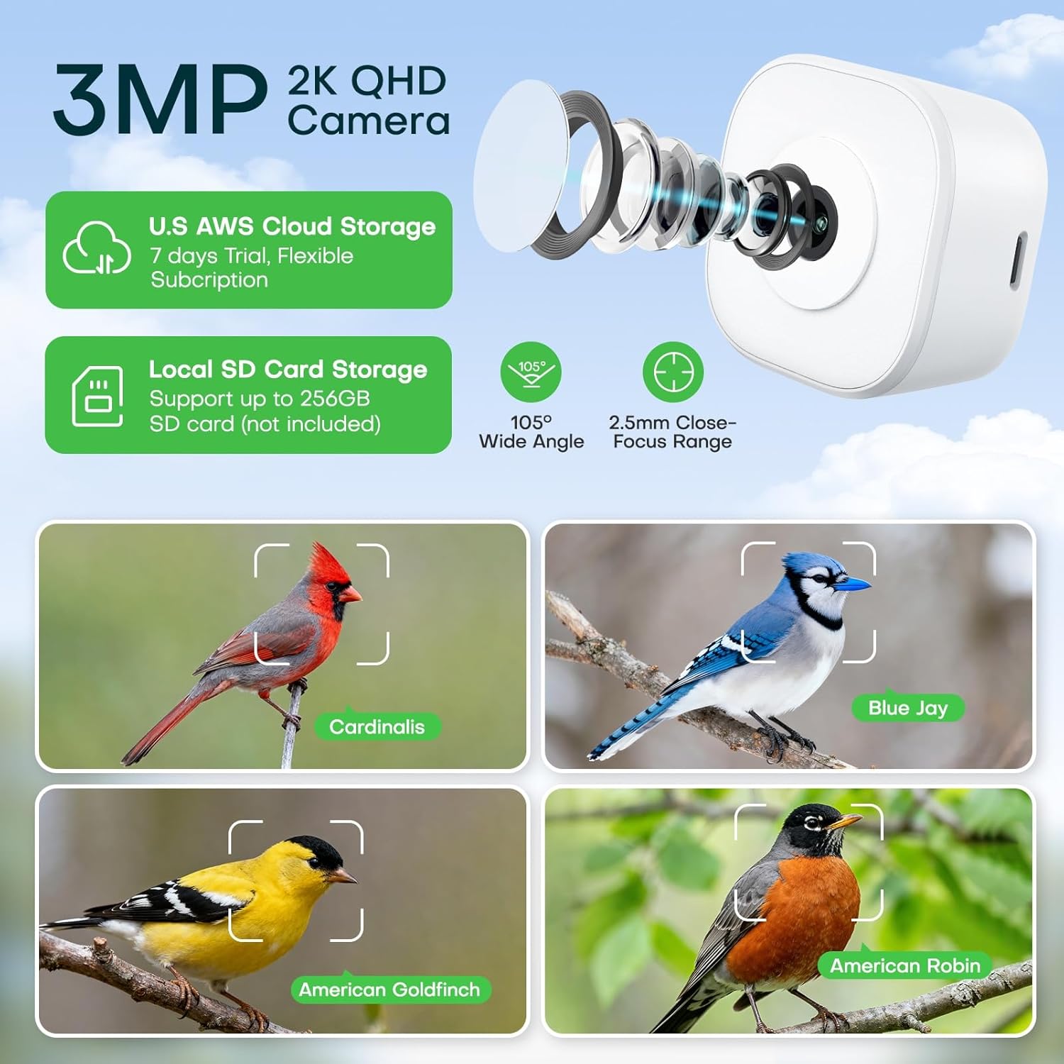 Smart Bird Feeder 2K HD 3MP Window Glass Camera Close-up, 2.4G &5Ghz WiFi Auto AI Birds Capture 24/7 Events Recording, Suction Cups Birdhouse with Anti-Glare- Reflection for Kids Elder - Image 2