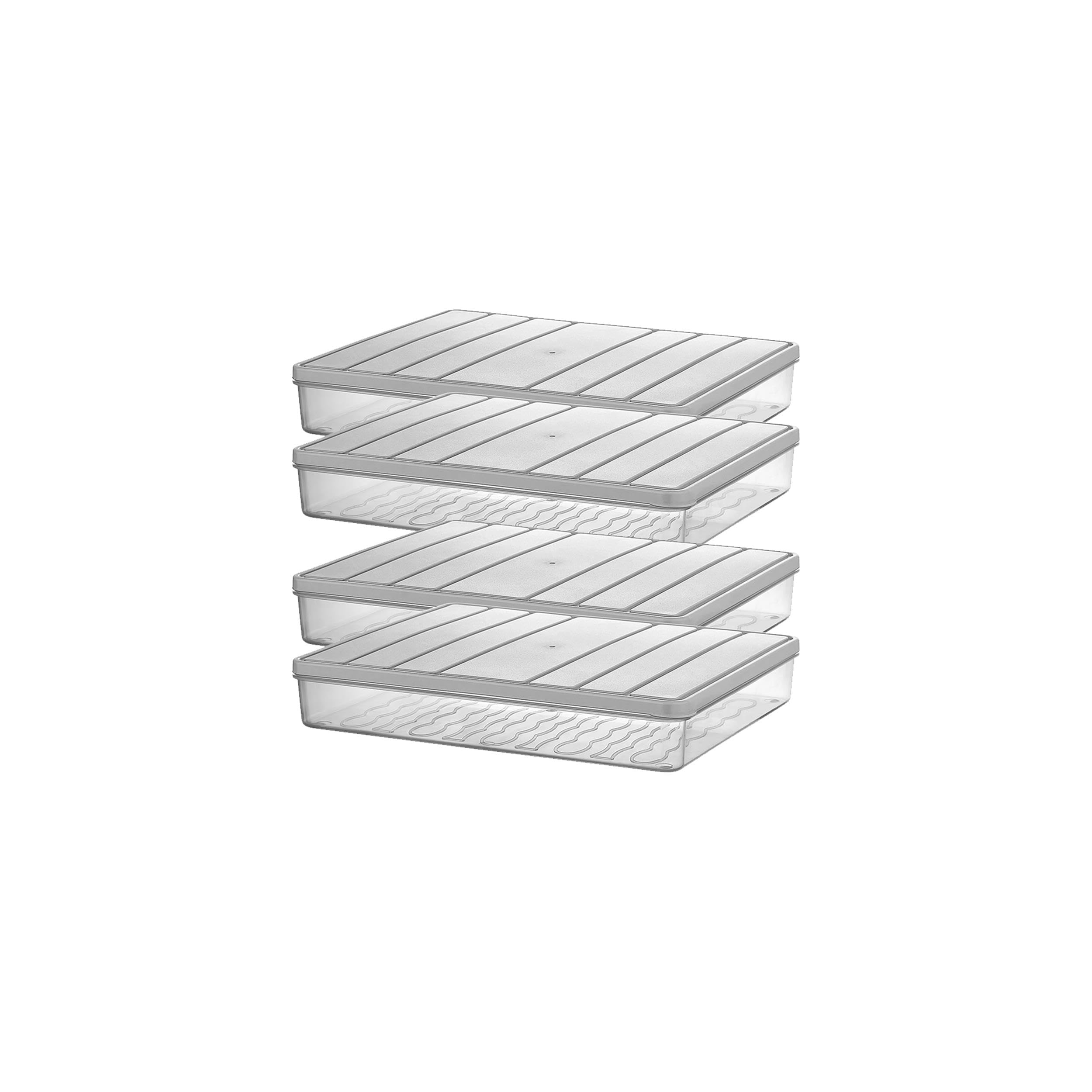 Selka Home - Nora 4'lü 2.5 Litre Büyük Boy Açık Gri Saklama Kabı