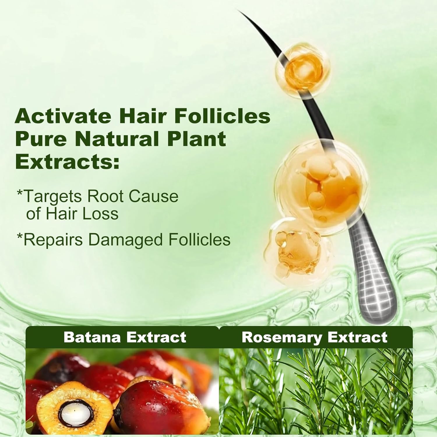 Tgideas Batana Oil & Rosemary Shampoo for Hair Growth, Formula for Thinning Hair & Reduce Hair Loss, Nourish Scalp & Add Volume, for Men & Women (Pack of 2) - Image 4