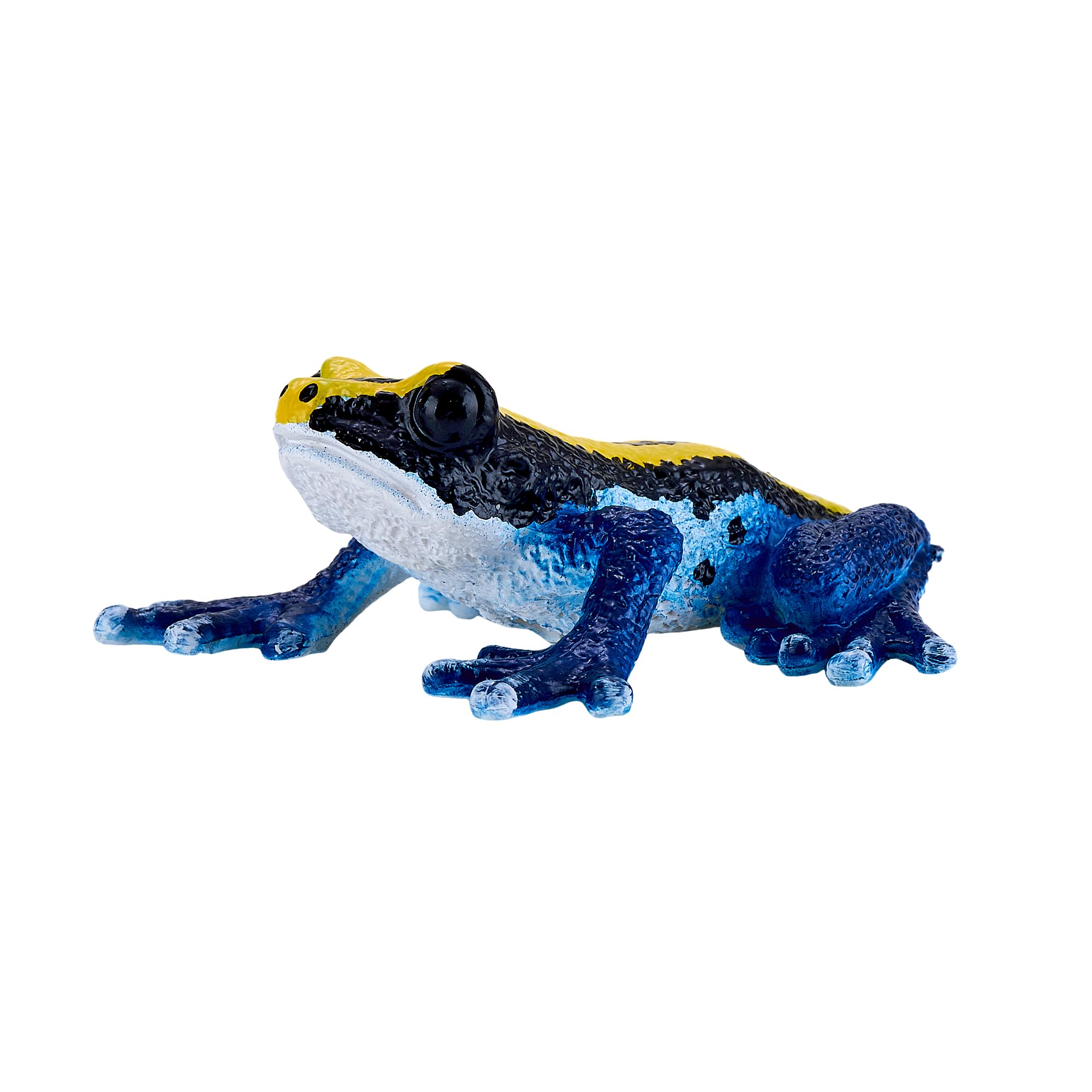 MOJO - Poison Dart Frog, Blue - Image 2