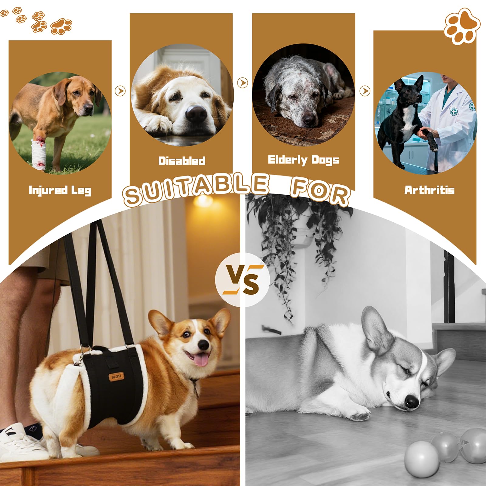 Arnés de elevación para perros grandes, soporte trasero ajustable para la pierna con acolchado y hebilla fija antideslizante, ayuda de recuperación de cirugía de displasia de cadera/ACL/TPLO, arnés