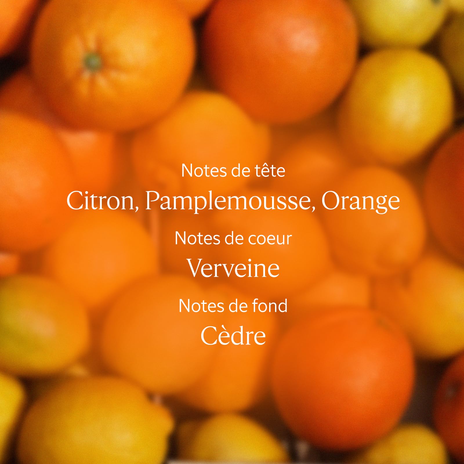 L'OCCITANE - Eau de Toilette Verveine Agrumes - 100 ml - Notes fruitées et pétillantes - Fabriqué en France
