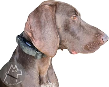 Bungee E-Collar Replacement Strap - Fits 1 Dog-tra, Garmin, SportDOG, Educator - Multiple Colours & Sizes (Green Camo, Medium: neck 34-41 cm/ 13-16”)