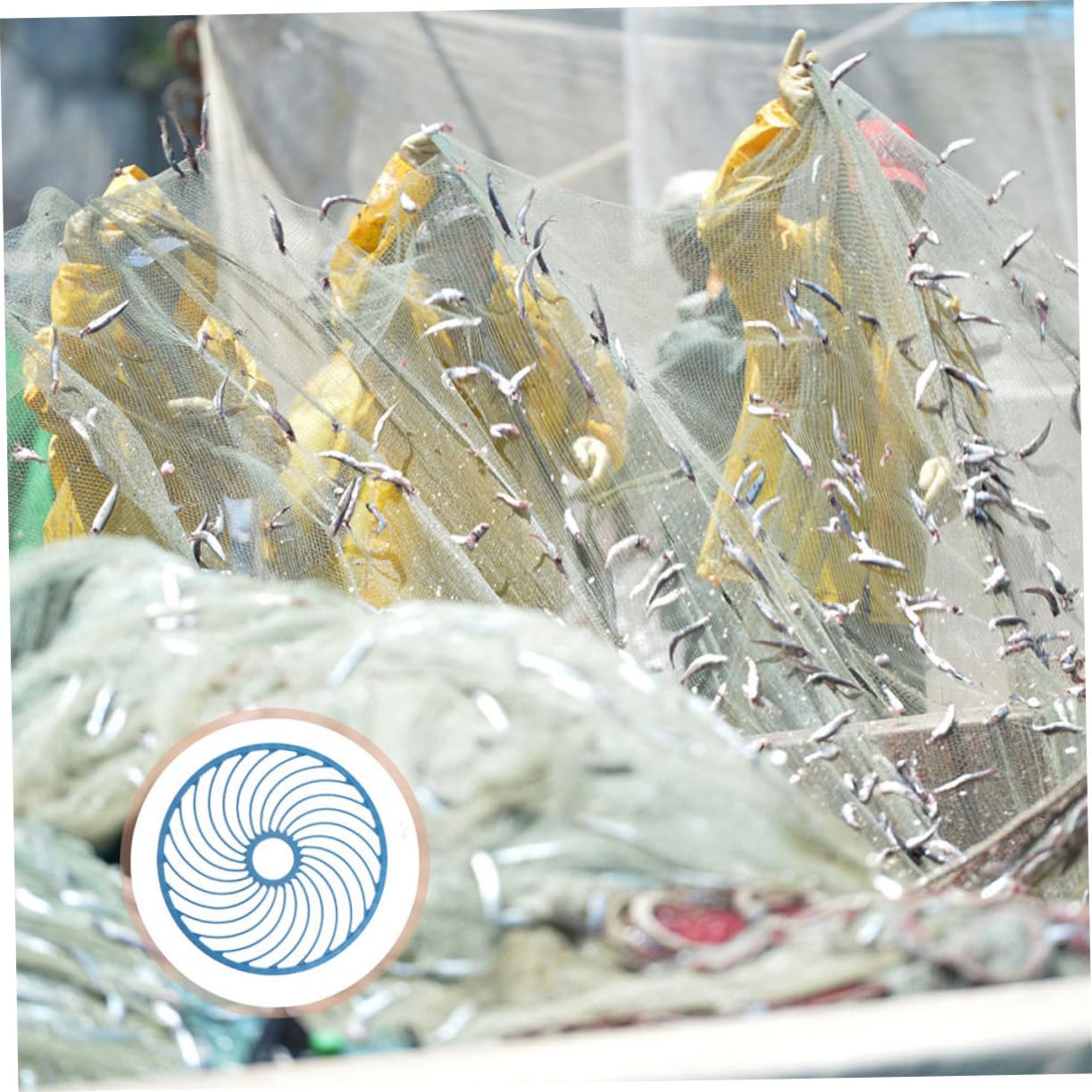 Toddmomy 2pezzi Disco da Lancio per Retino da Pesca in Acqua Salata Facile da Lanciare Accessori per Retino da Pesca Mano Anelli da Lancio