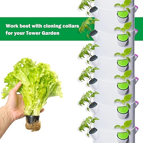 Miniatura 4 de Paquete de 40 collares de clonación de Rlioy con espuma de grado superior, se adapta a macetas de red de 2.0in, para máquinas de clonación,